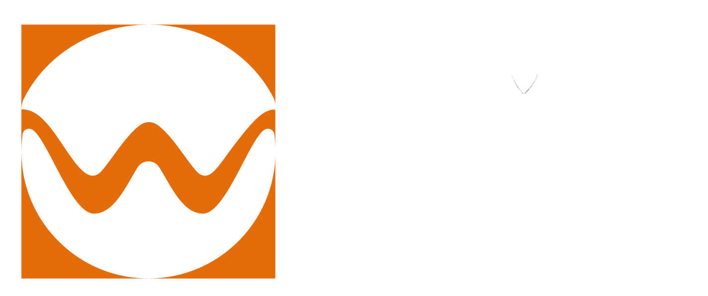 伟略达WayLeader